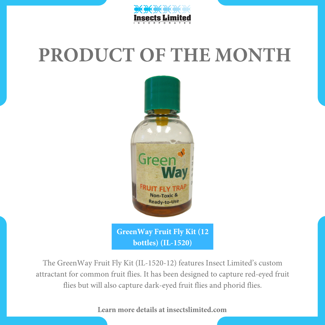 GreenWay Fruit and Phorid Fly Kit